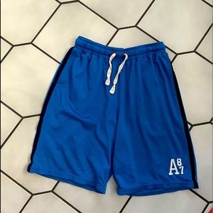 Men’s/Teens Large Blue Aeropostale Shorts!